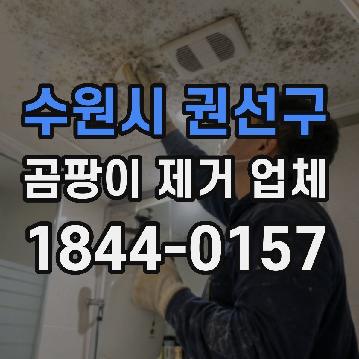 수원시 권선구 곰팡이 제거 업체