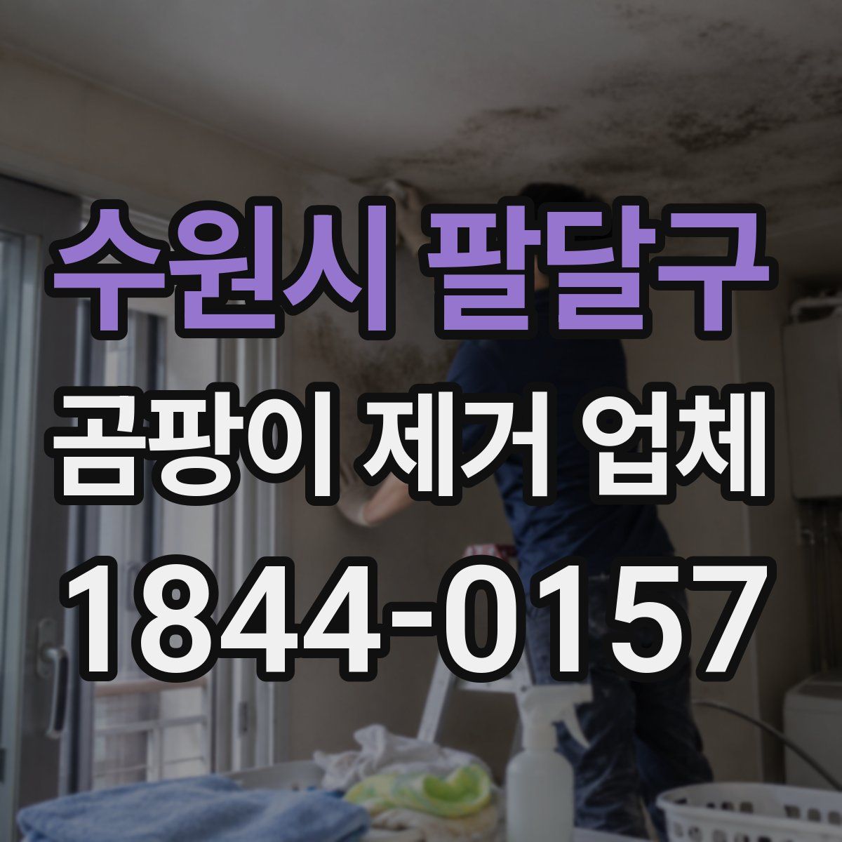 수원시 팔달구 곰팡이 제거 업체
