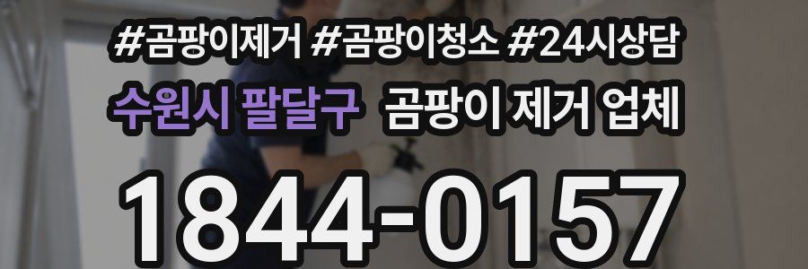 수원시 팔달구 곰팡이 제거 업체