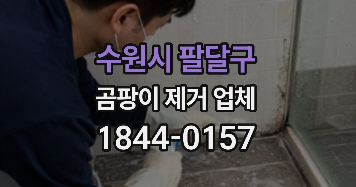 수원시 팔달구 곰팡이 제거 업체
