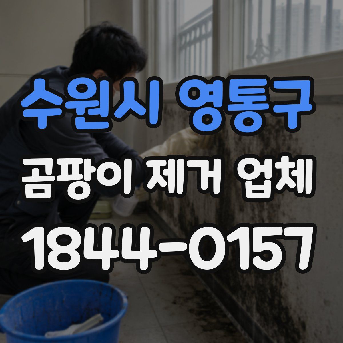 수원시 영통구 곰팡이 제거 업체