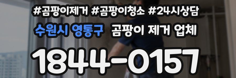 수원시 영통구 곰팡이 제거 업체