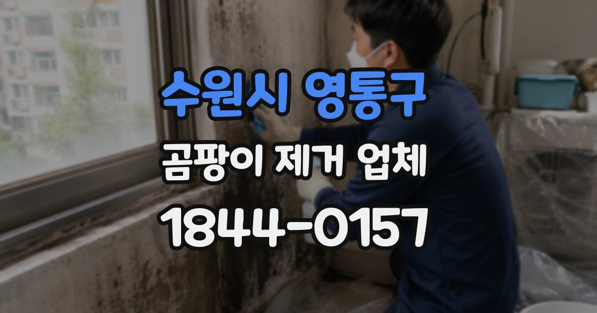 수원시 영통구 곰팡이 제거 업체