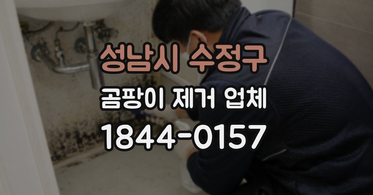 성남시 수정구 곰팡이 제거 업체