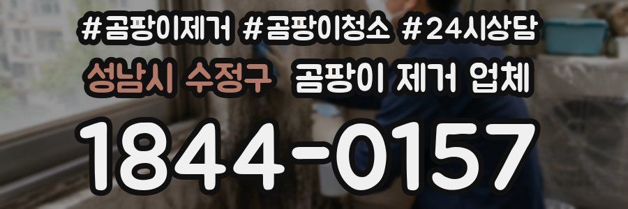 성남시 수정구 곰팡이 제거 업체