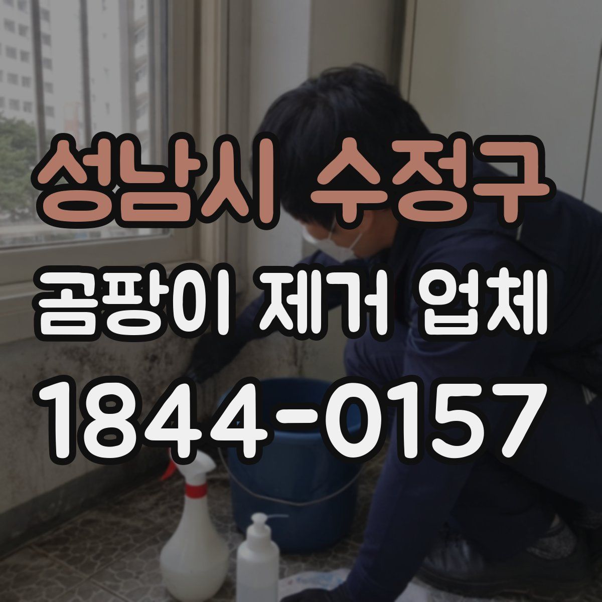 성남시 수정구 곰팡이 제거 업체