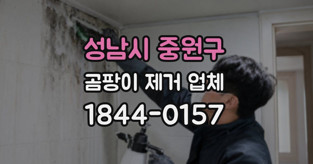 성남시 중원구 곰팡이 제거 업체