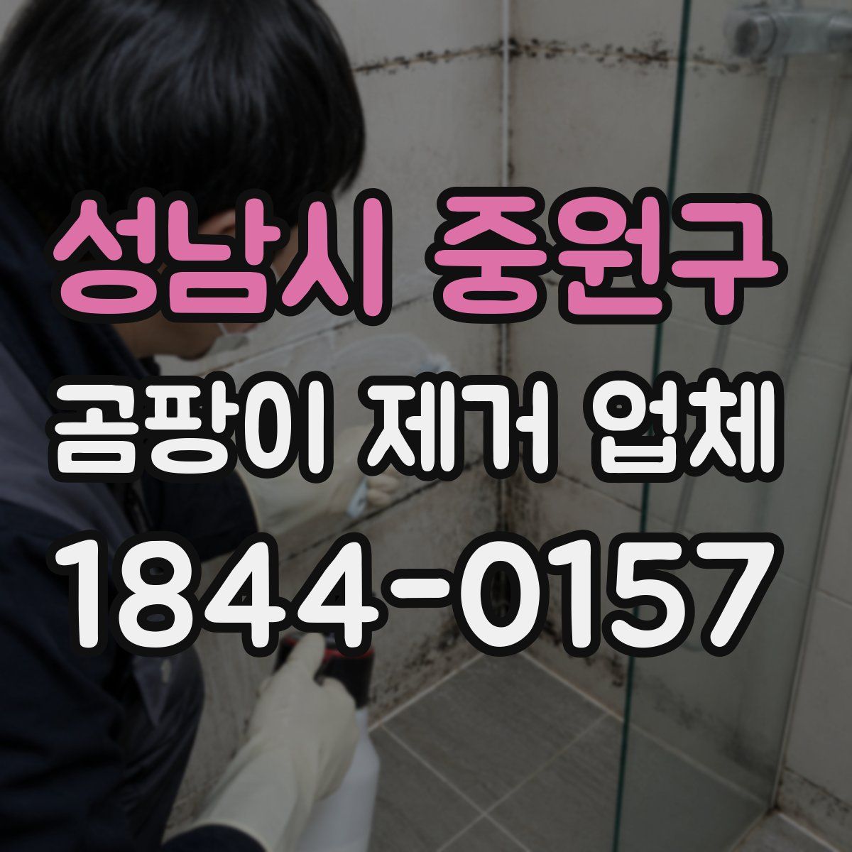 성남시 중원구 곰팡이 제거 업체