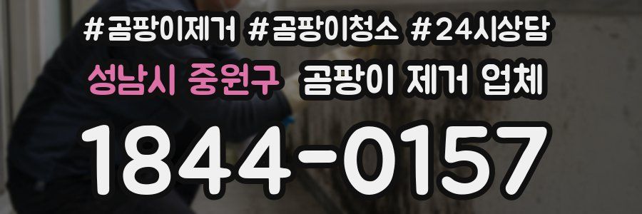 성남시 중원구 곰팡이 제거 업체
