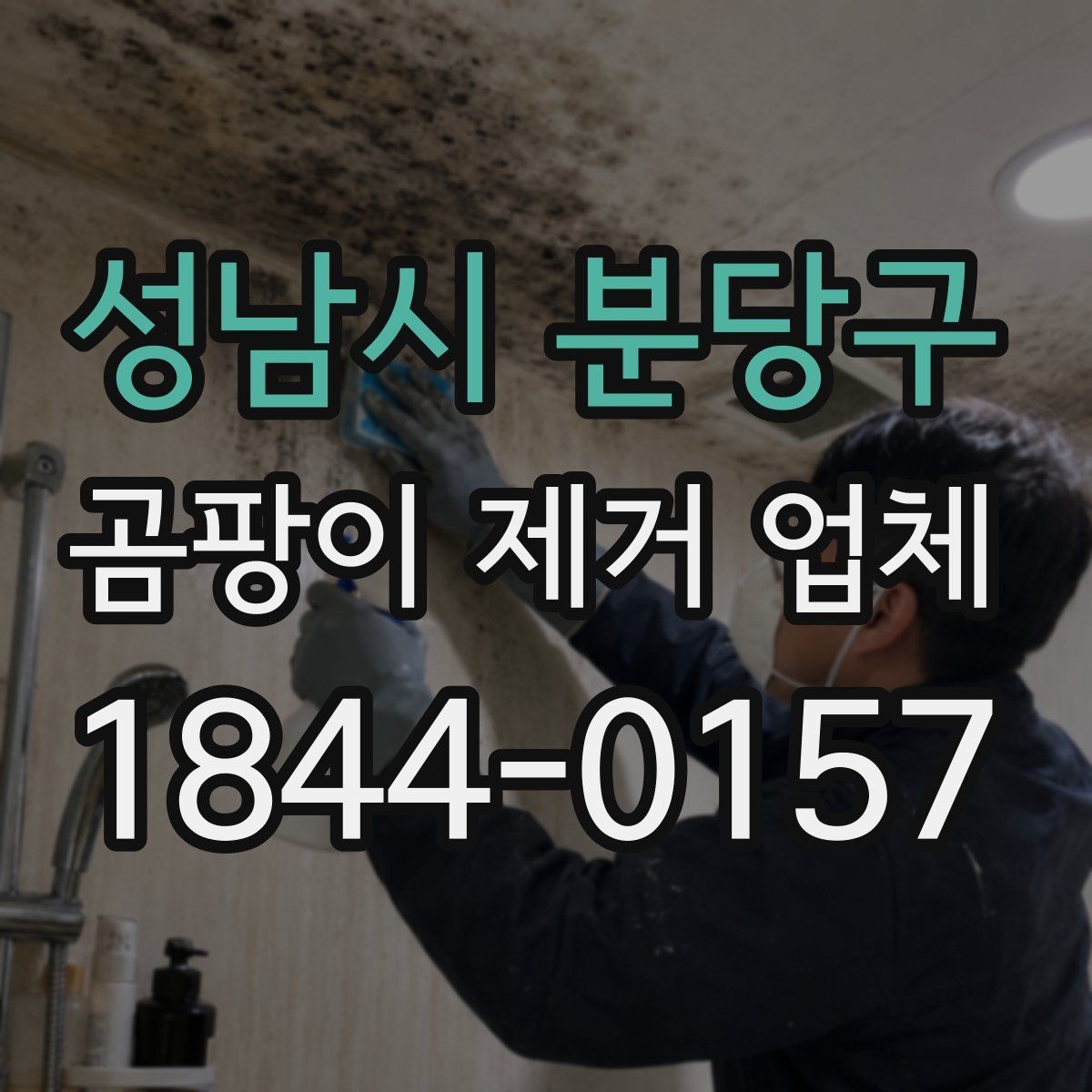 성남시 분당구 곰팡이 제거 업체 곰팡이 색상과 번짐 패턴으로 보는 오염 상태
