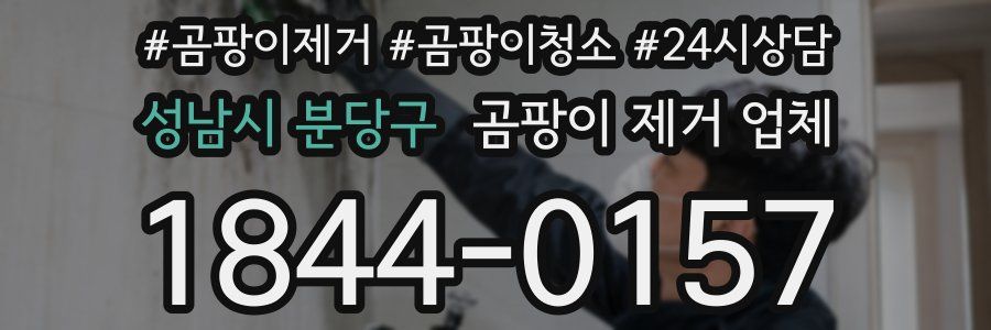 성남시 분당구 곰팡이 제거 업체