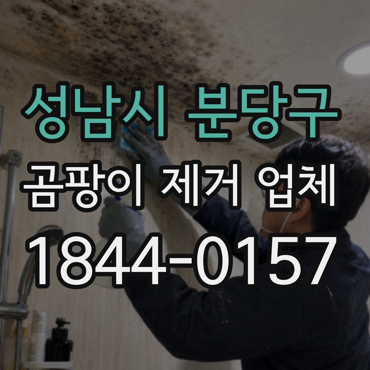 성남시 분당구 곰팡이 제거 업체