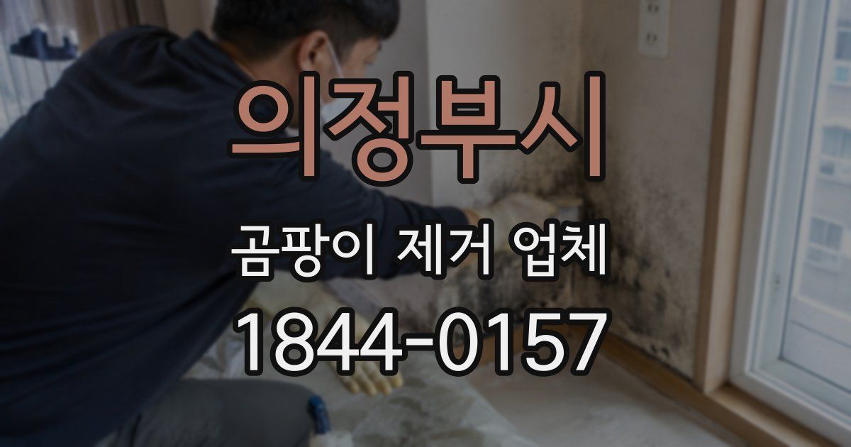 의정부시 곰팡이 제거 업체