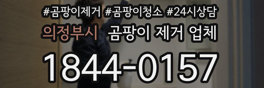의정부시 곰팡이 제거 업체