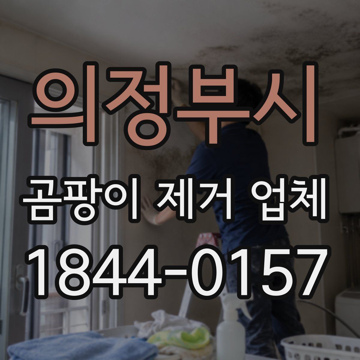 의정부시 곰팡이 제거 업체