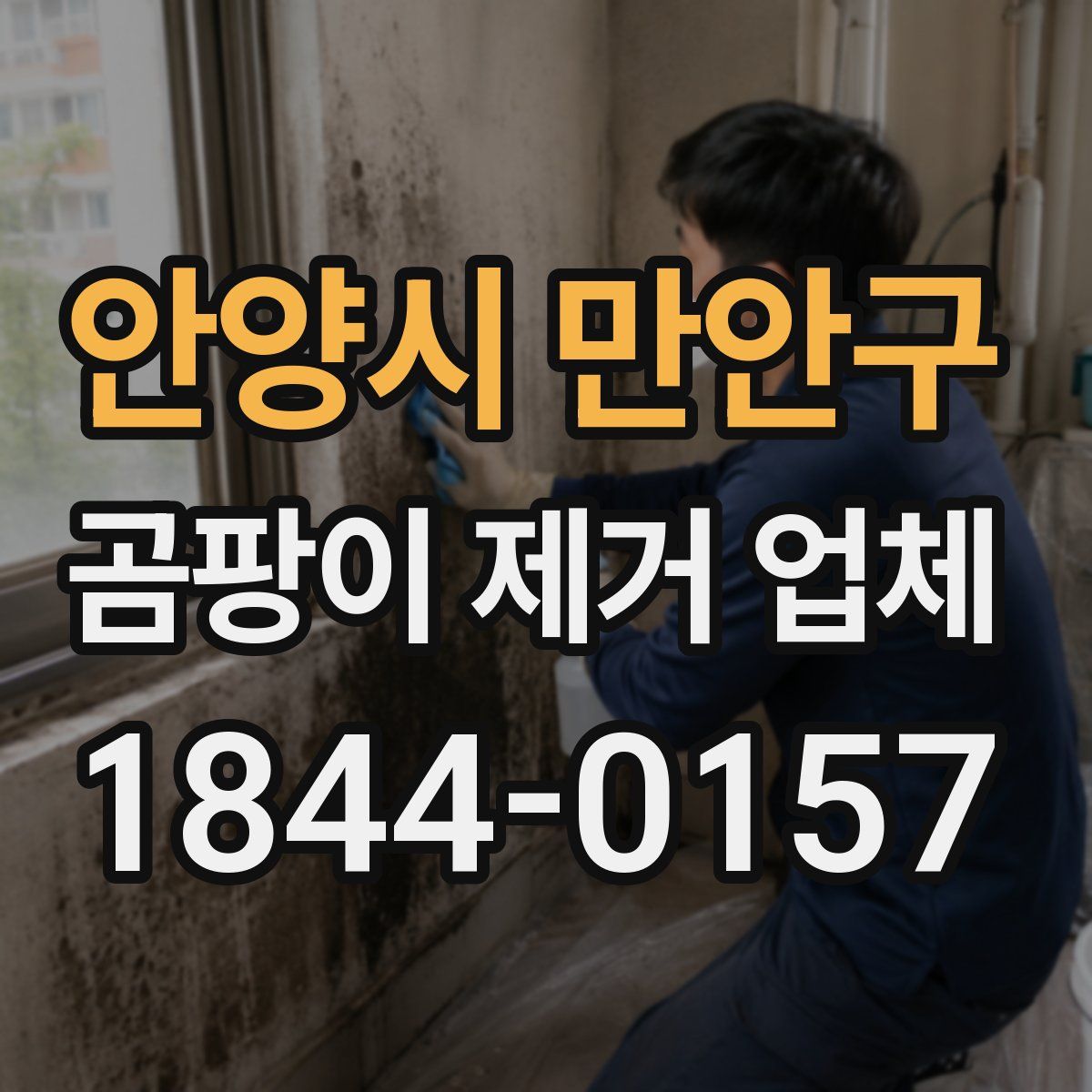 안양시 만안구 곰팡이 제거 업체