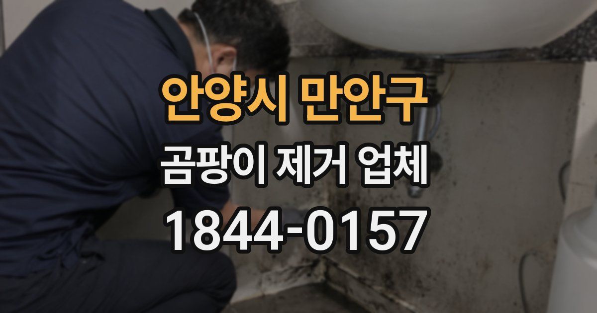 안양시 만안구 곰팡이 제거 업체