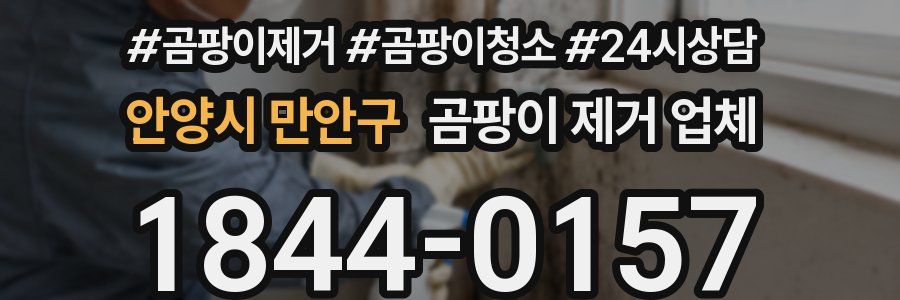 안양시 만안구 곰팡이 제거 업체