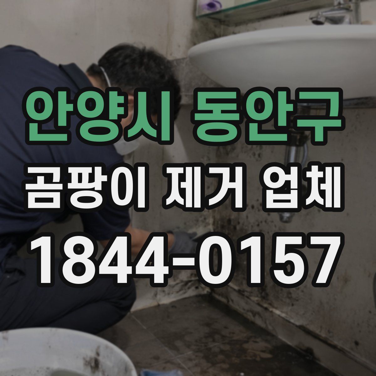 안양시 동안구 곰팡이 제거 업체