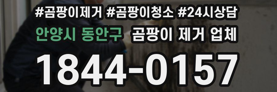 안양시 동안구 곰팡이 제거 업체