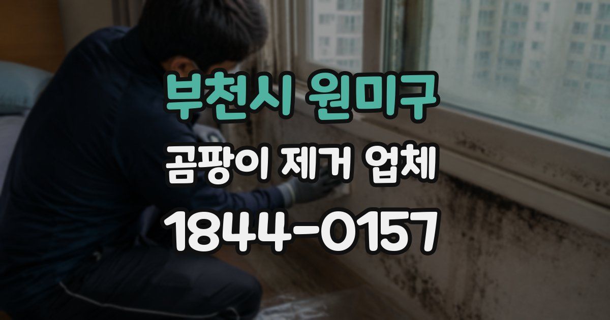 부천시 원미구 곰팡이 제거 업체