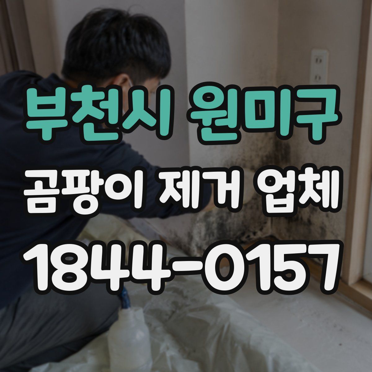 부천시 원미구 곰팡이 제거 업체