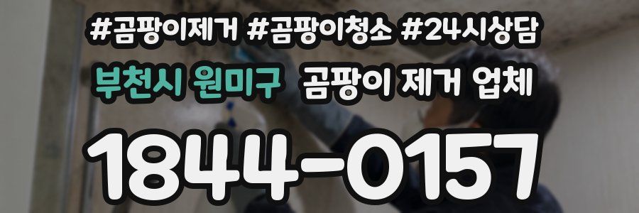 부천시 원미구 곰팡이 제거 업체