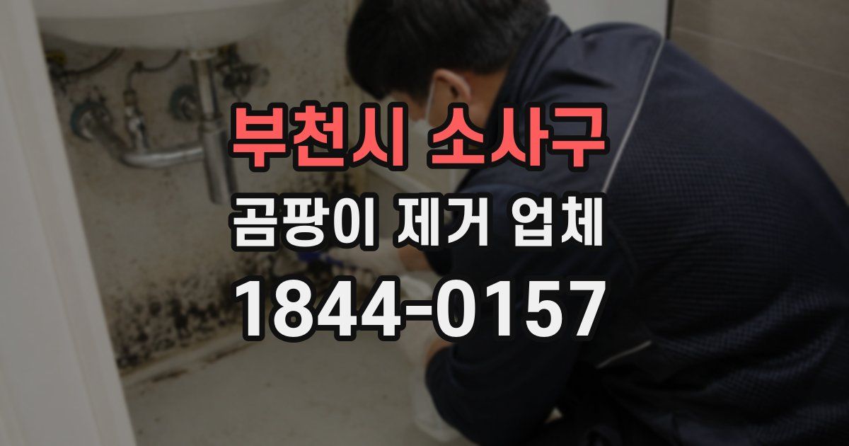 부천시 소사구 곰팡이 제거 업체