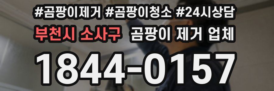 부천시 소사구 곰팡이 제거 업체