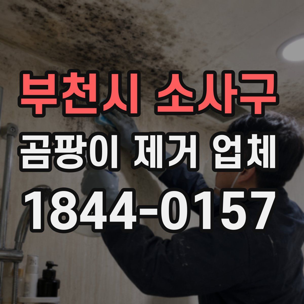 부천시 소사구 곰팡이 제거 업체