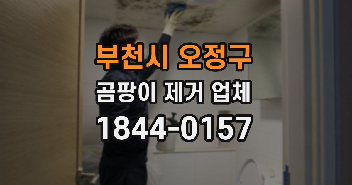 부천시 오정구 곰팡이 제거 업체