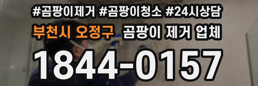 부천시 오정구 곰팡이 제거 업체
