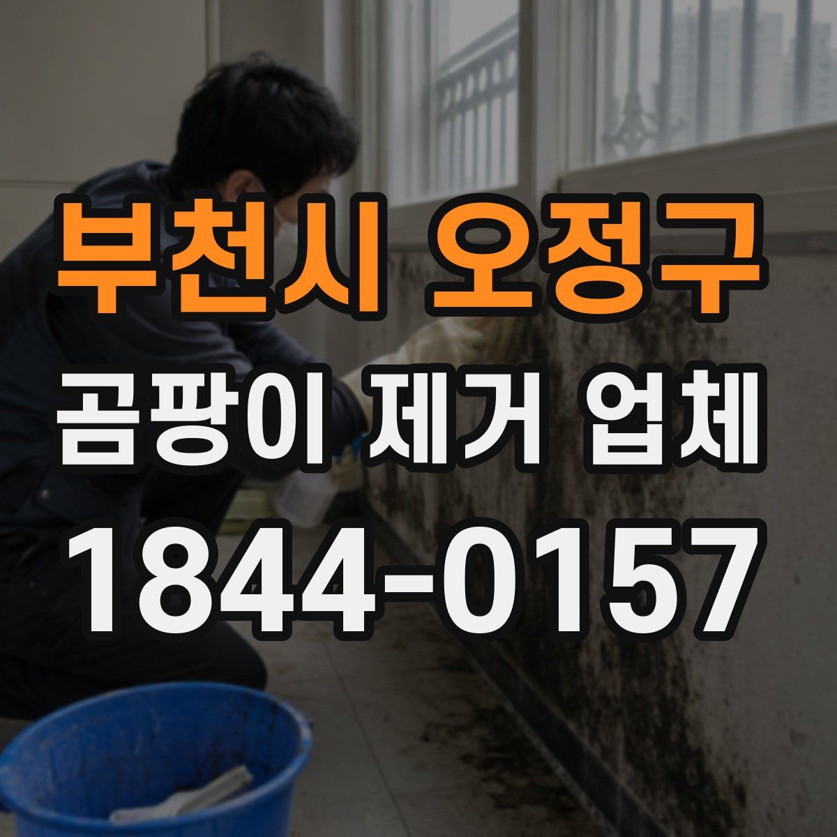 부천시 오정구 곰팡이 제거 업체