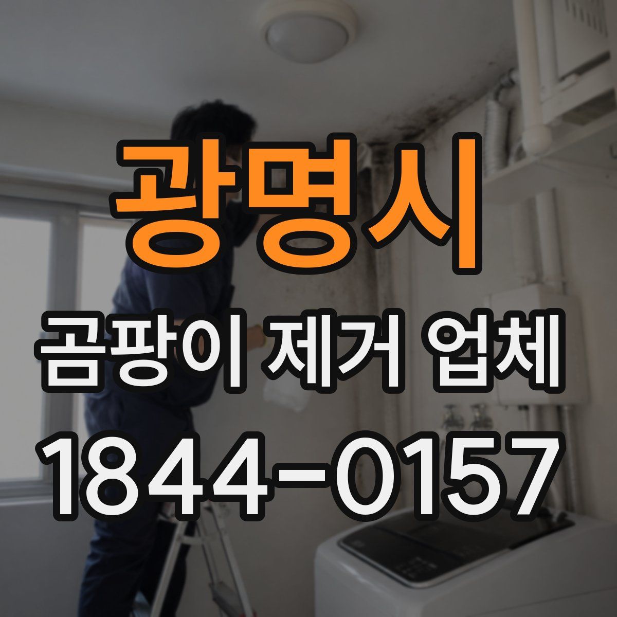 광명시 곰팡이 제거 업체