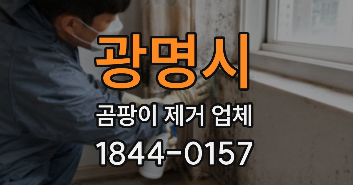 광명시 곰팡이 제거 업체