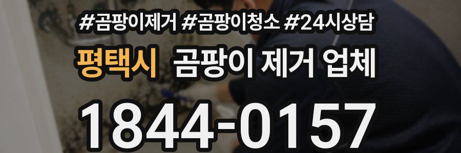 평택시 곰팡이 제거 업체