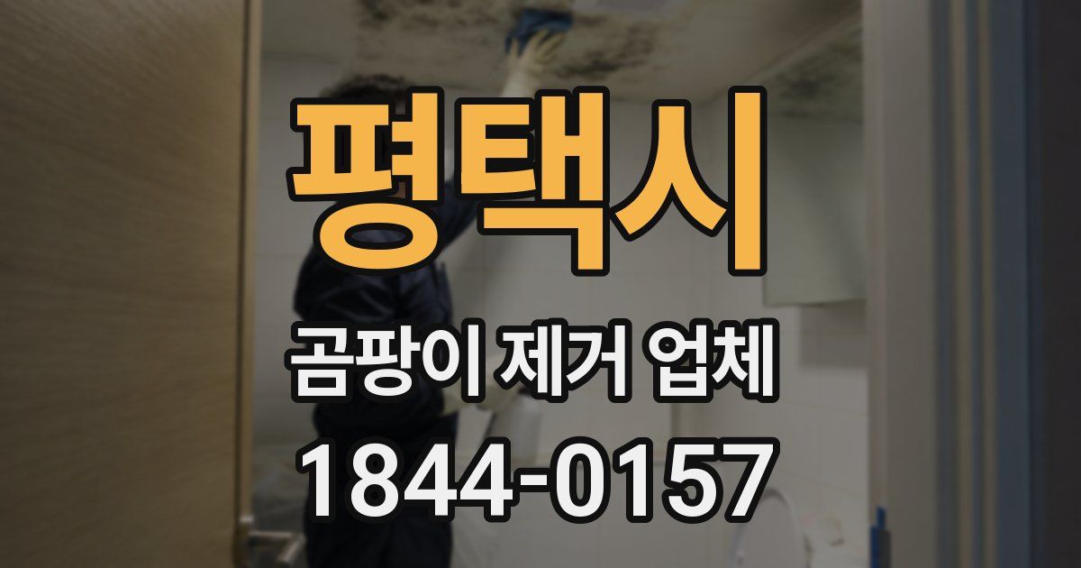 평택시 곰팡이 제거 업체