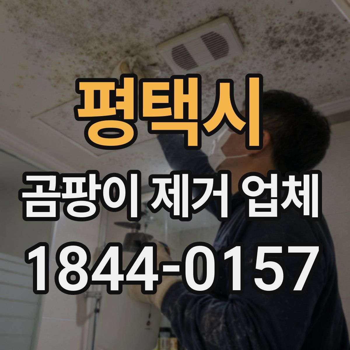 평택시 곰팡이 제거 업체