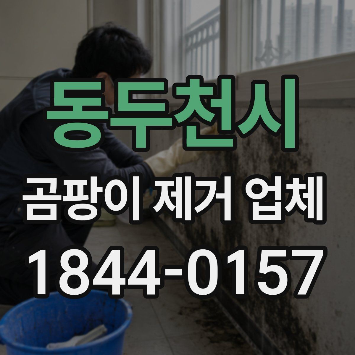 동두천시 곰팡이 제거 업체 표면 청소와 전문 시공의 차이