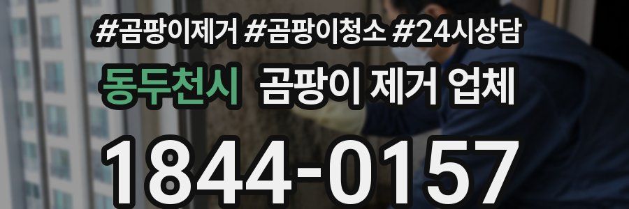 동두천시 곰팡이 제거 업체