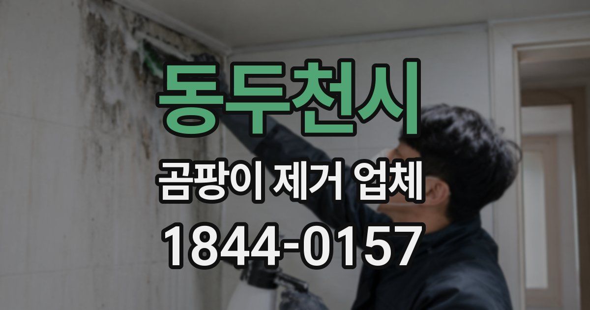 동두천시 곰팡이 제거 업체