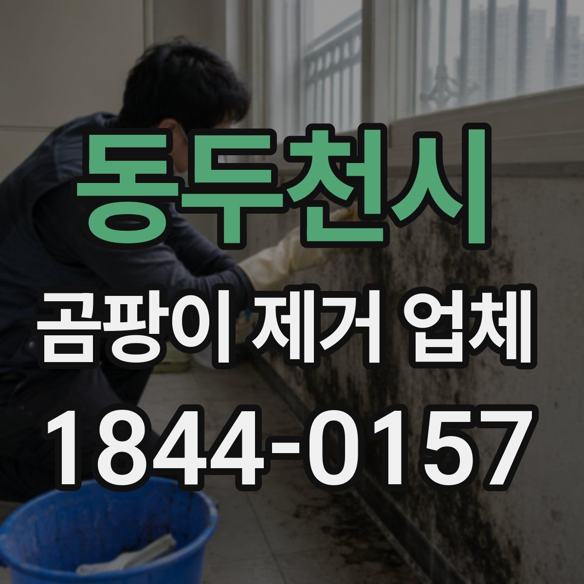 동두천시 곰팡이 제거 업체