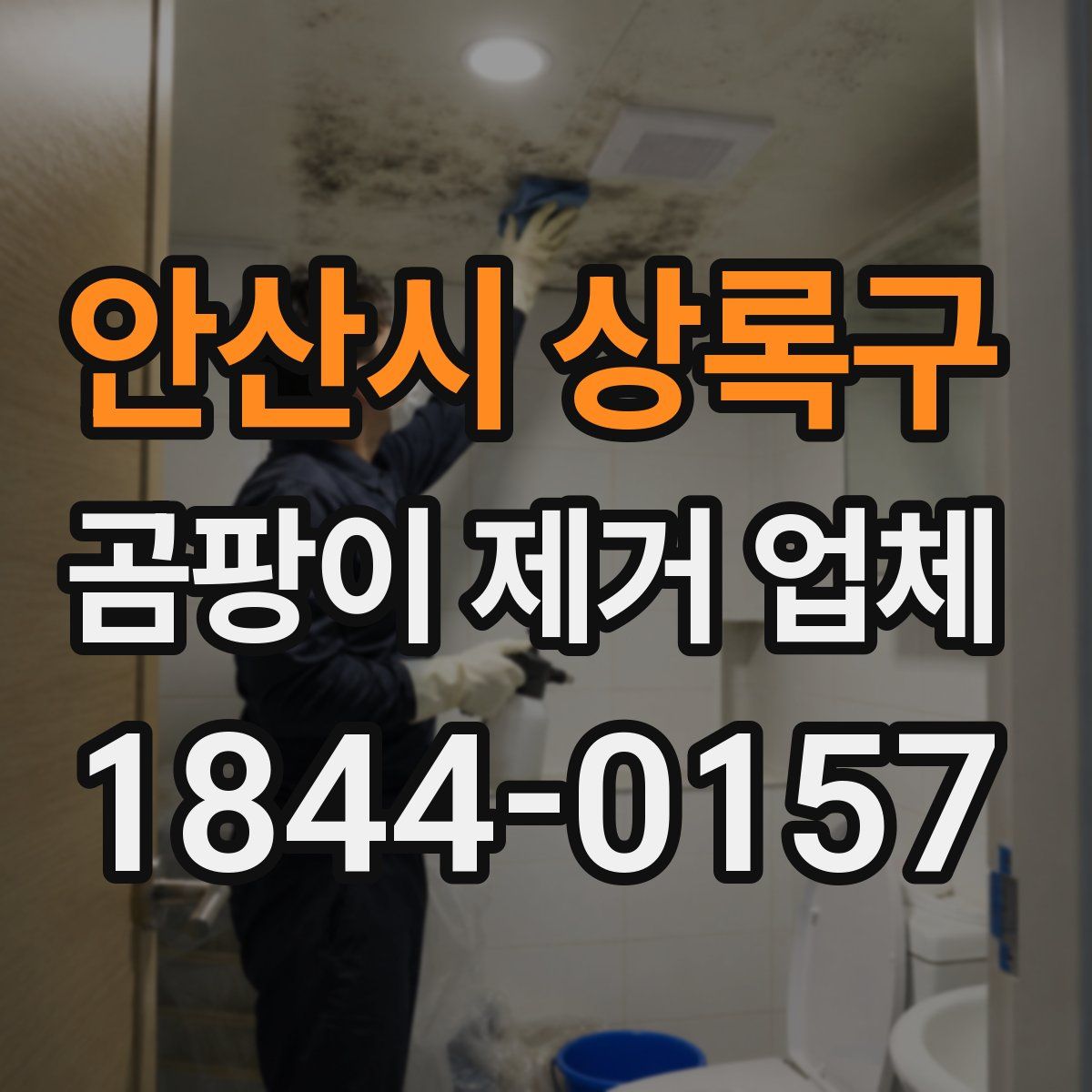 안산시 상록구 곰팡이 제거 업체