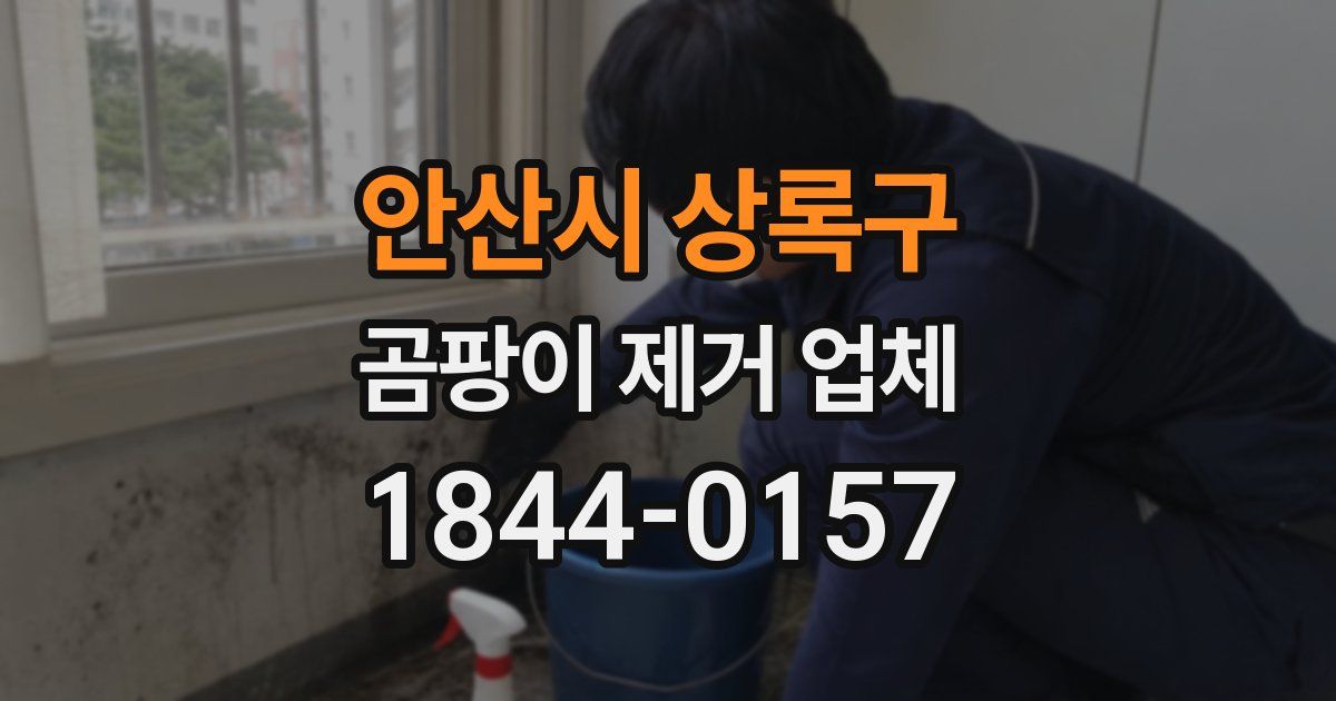 안산시 상록구 곰팡이 제거 업체