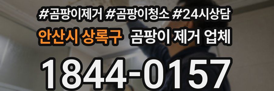 안산시 상록구 곰팡이 제거 업체