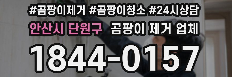 안산시 단원구 곰팡이 제거 업체