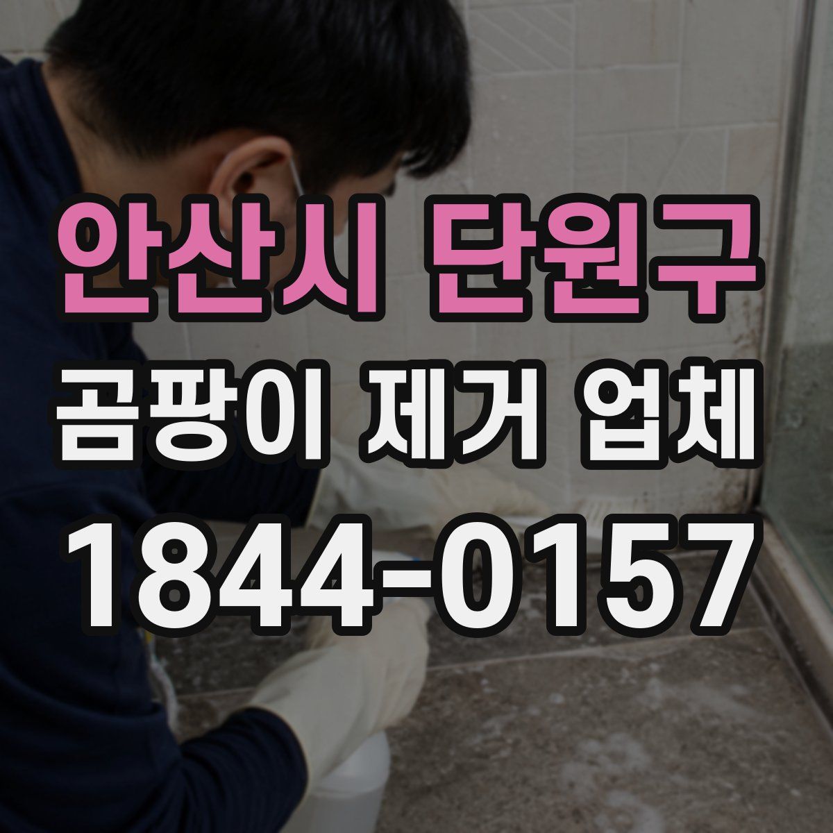 안산시 단원구 곰팡이 제거 업체