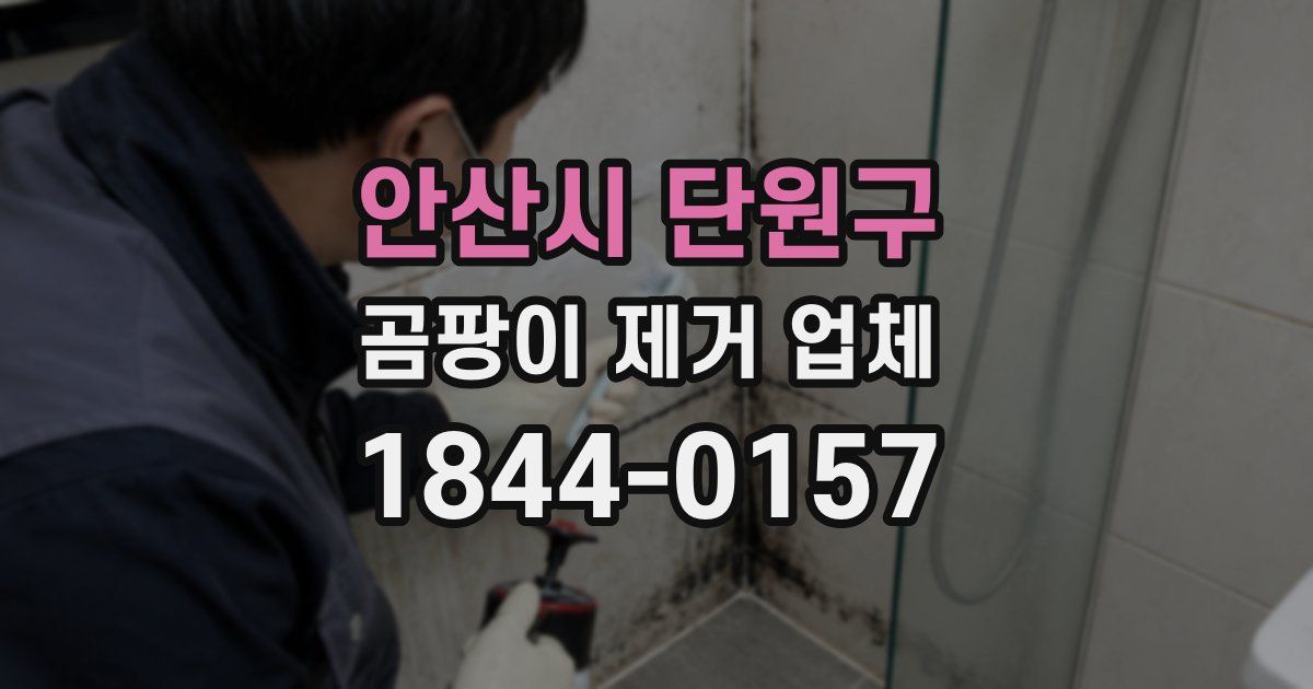 안산시 단원구 곰팡이 제거 업체