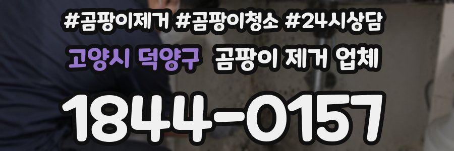 고양시 덕양구 곰팡이 제거 업체