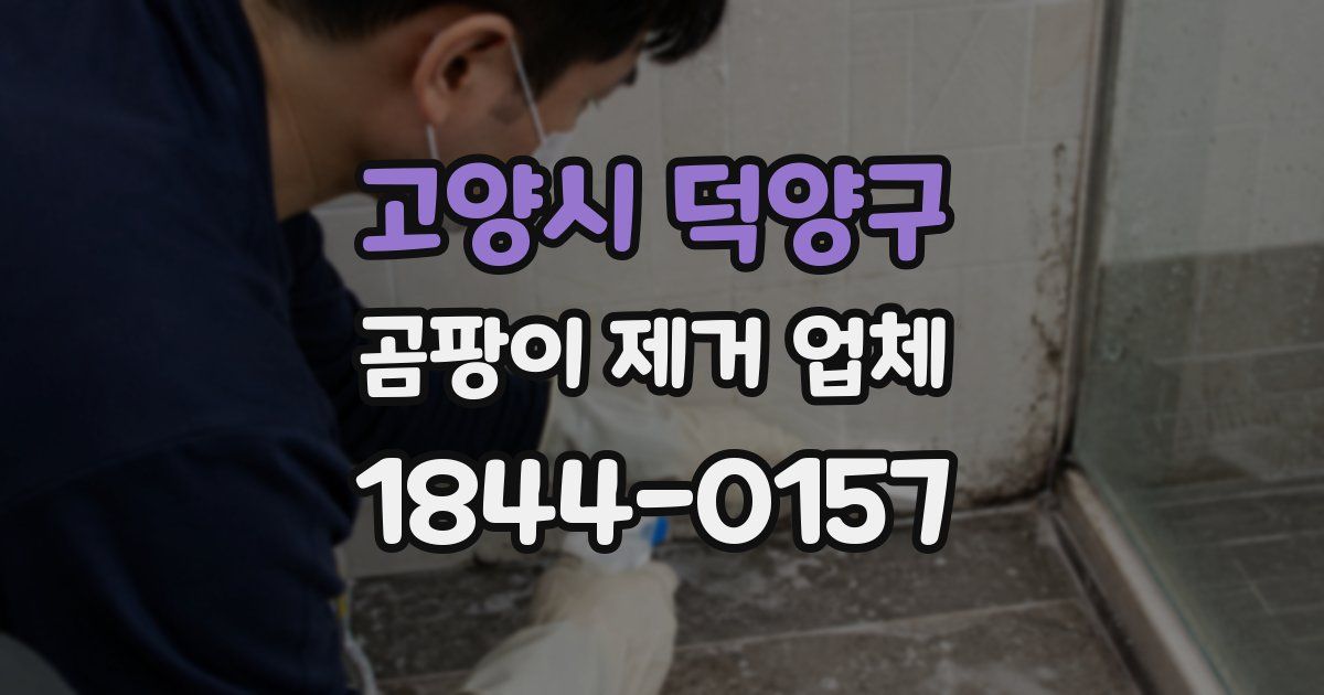 고양시 덕양구 곰팡이 제거 업체